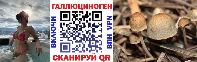 Псилоцибиновые грибы MAGIC MUSHROOMS Кизилюрт