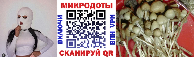 Галлюциногенные грибы Magic Shrooms  Кизилюрт 